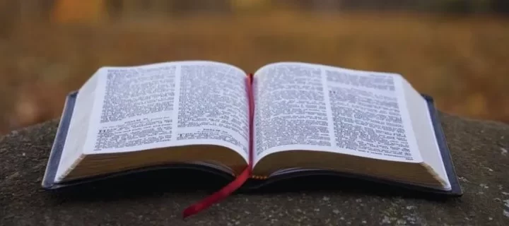 frases bíblicas curtas foto miniatura